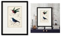 Courtside Market D'Orbigny Birds I 16" x 20" Framed and Matted Art